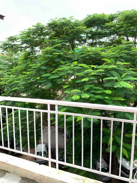 3 BHK Flat/Apartment