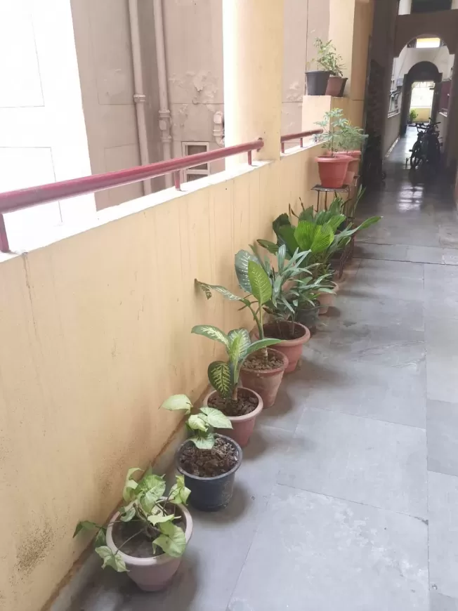 3 BHK Apartment