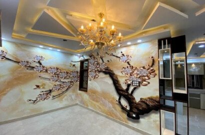 1 BHK Apartment
