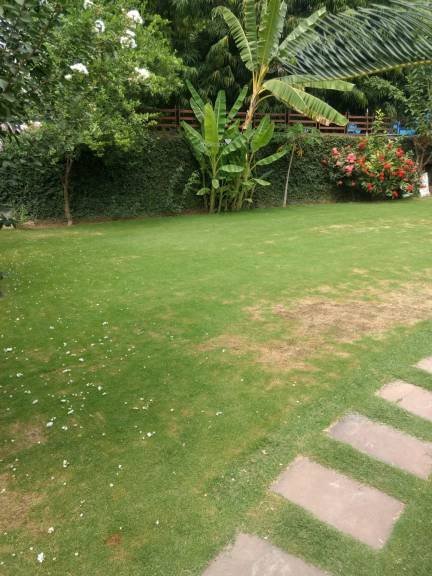 4 BHK Villa