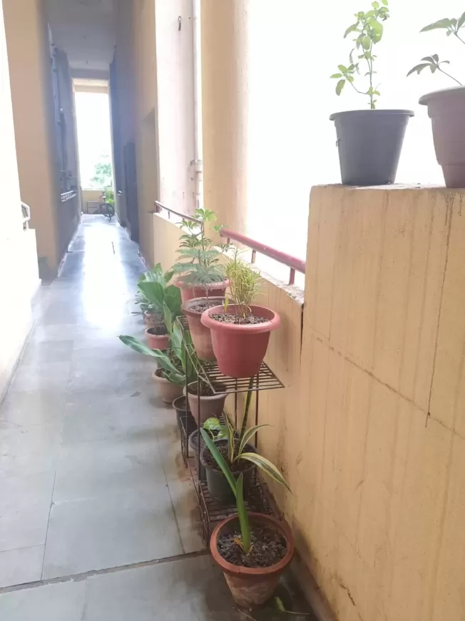 3 BHK Apartment