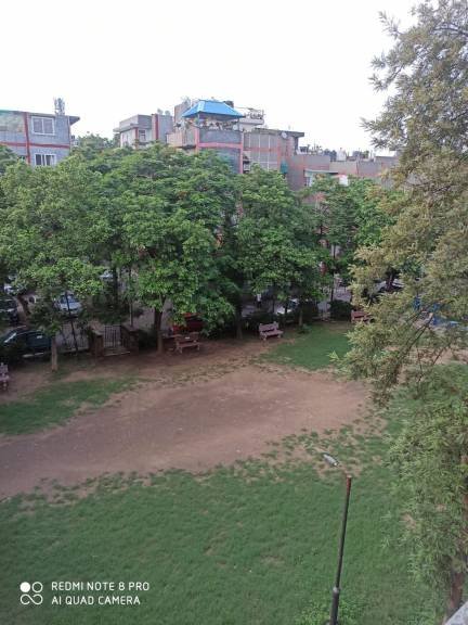 3 BHK Apartment